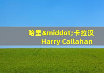 哈里·卡拉汉 Harry Callahan